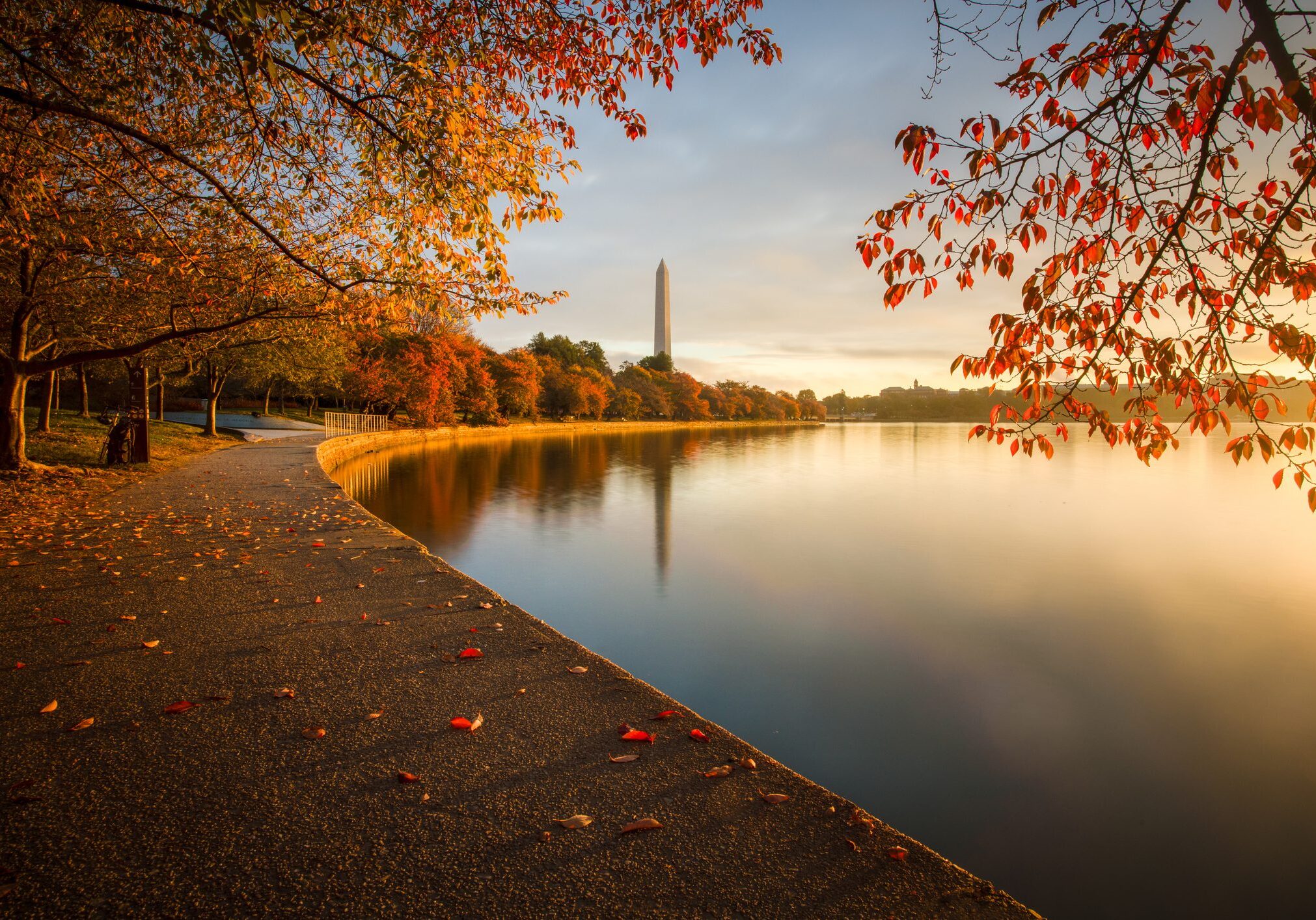 Tidal Basin in Washington DC during peak fall